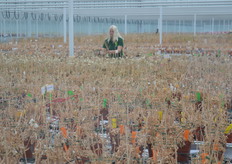 En toch oogt het zogezegd ietwat unheimisch..